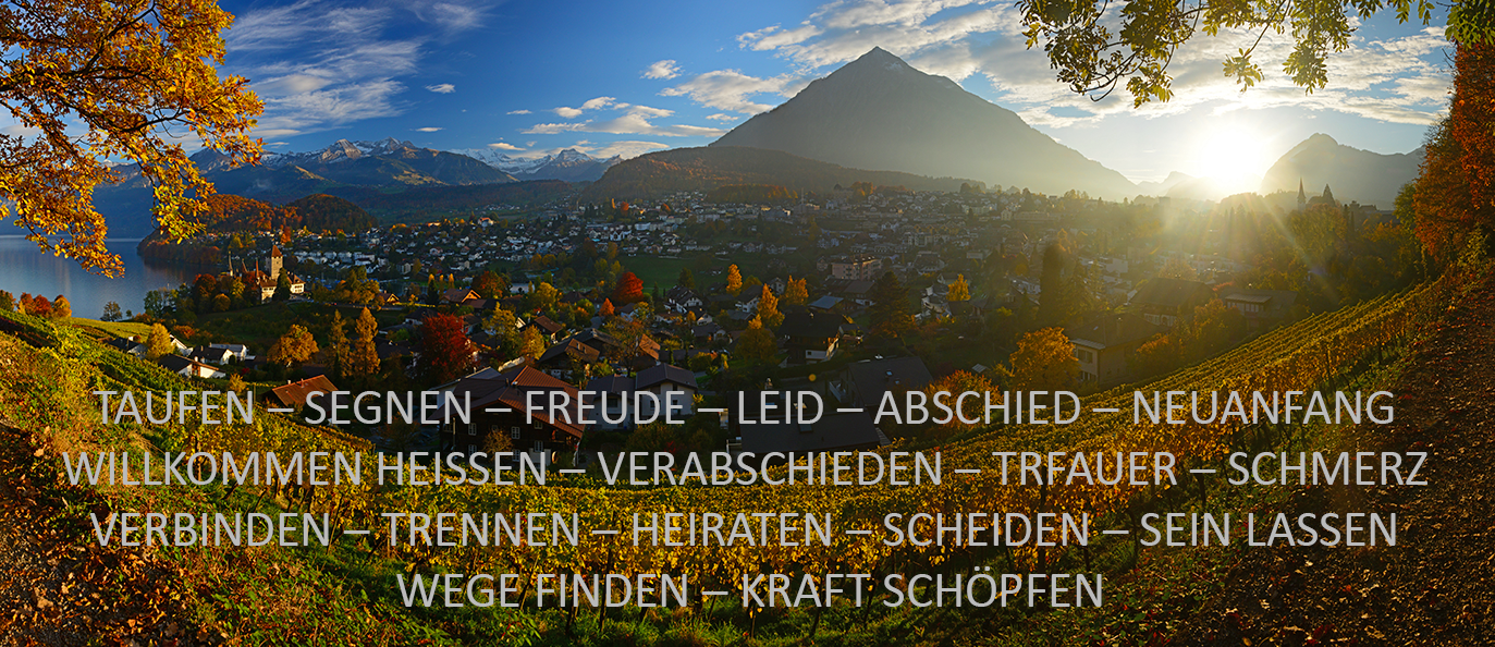 das leben feiern spiez banner 2025-1
